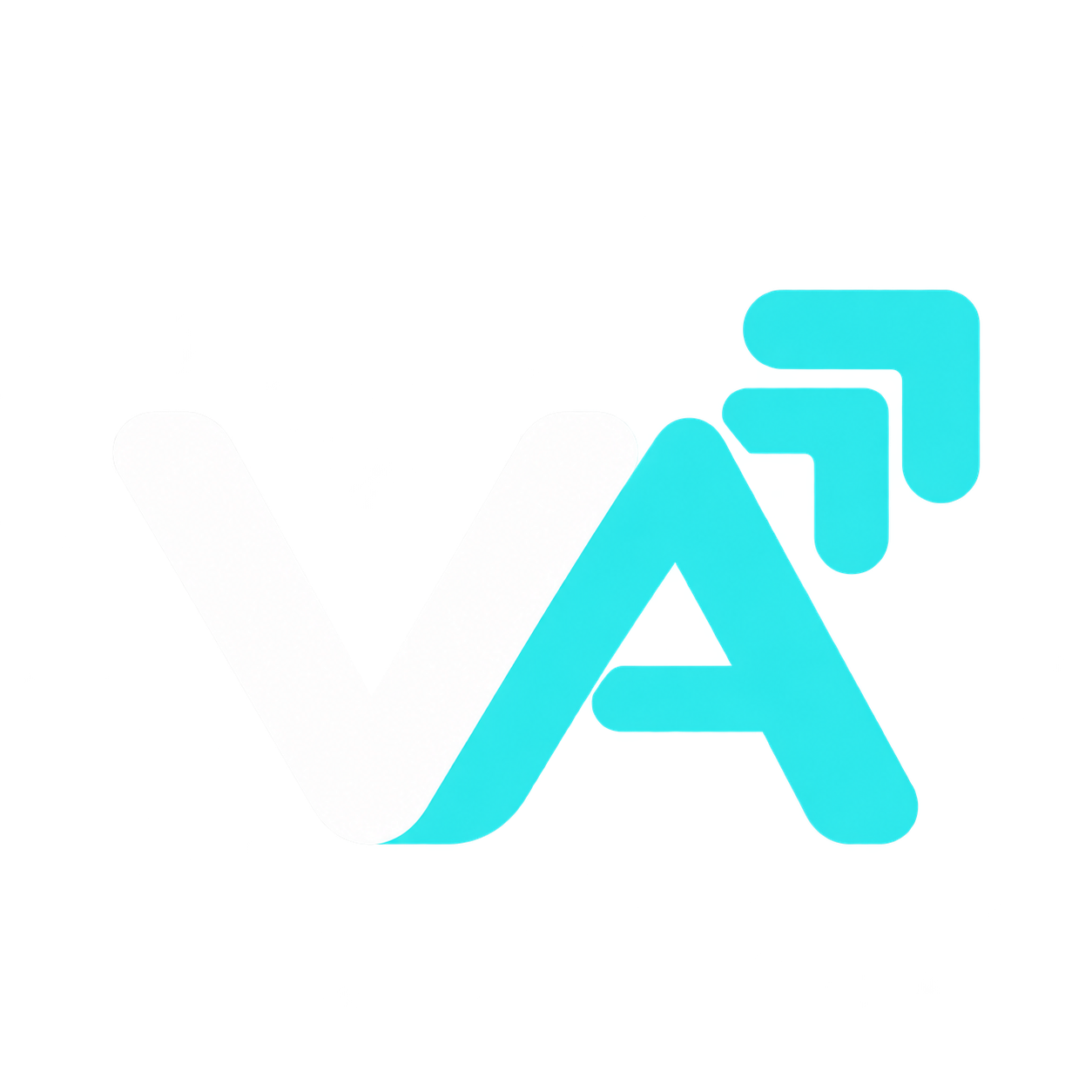 V Academy